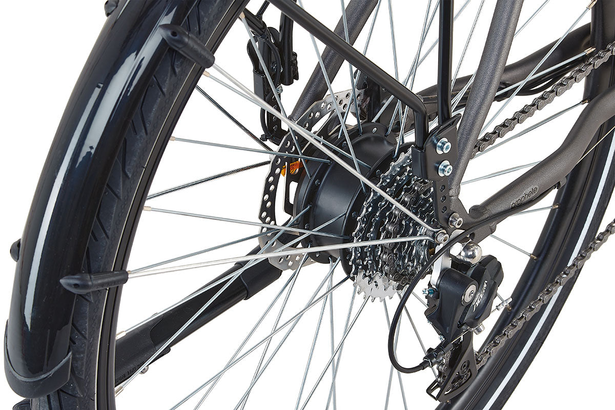 PROPHETE ENTDECKER 1.0