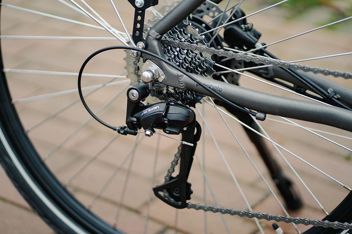 PROPHETE ENTDECKER 1.0