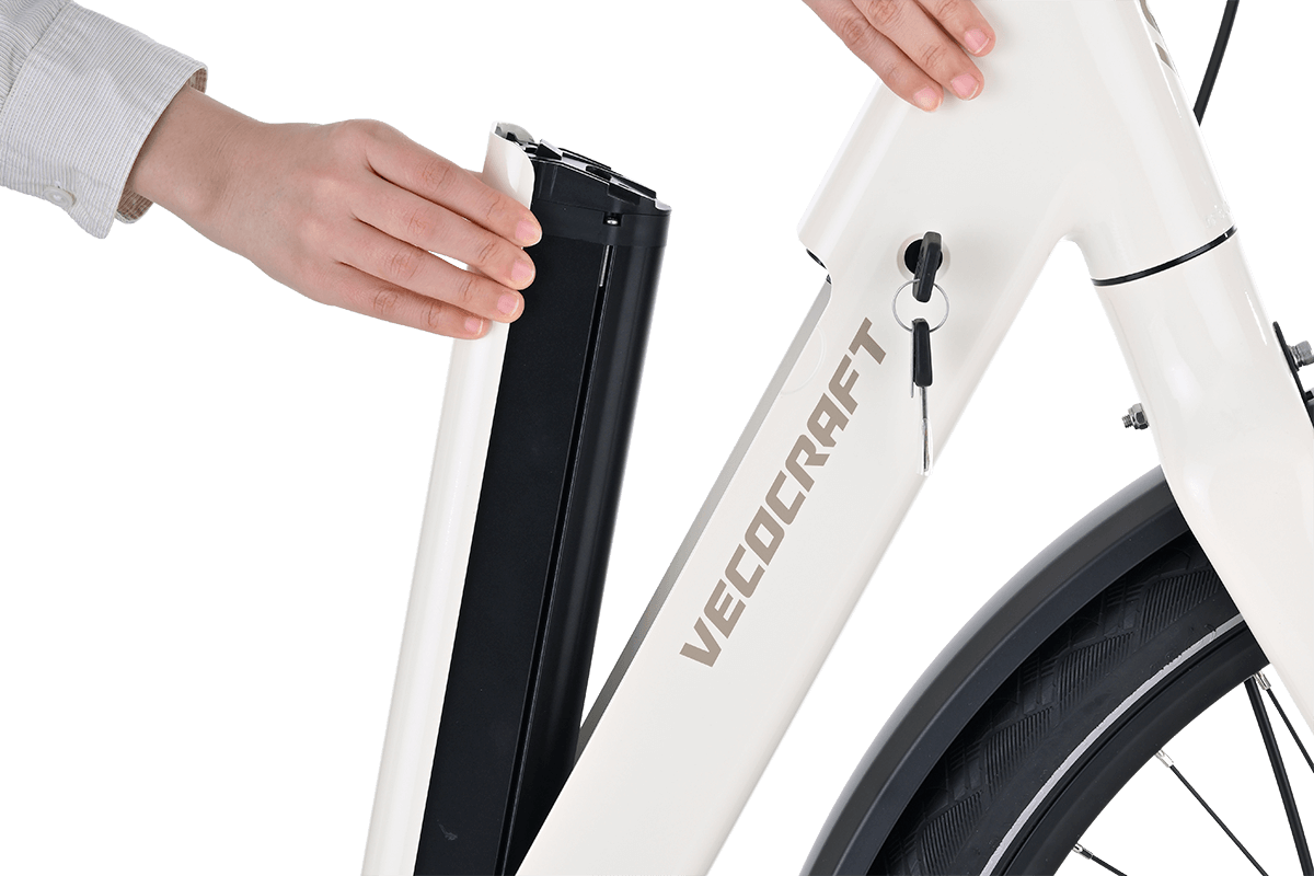 Vecocraft LUNA